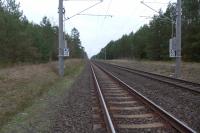 thm_P1580835.jpg