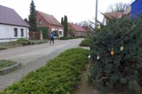 thm_P1580937.jpg
