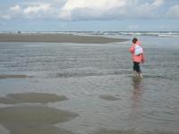 thm_IMG_0786.jpg